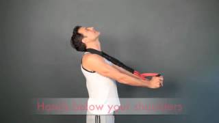 Pro Lordotic Neck Exerciser with Adam Fields DC [upl. by Rez387]