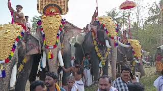 UTHRALIKAVU POORAM [upl. by Renita794]