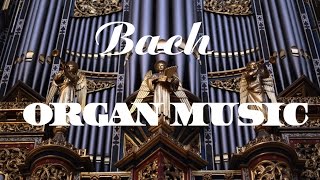 Bach  The Best Organ Music [upl. by Dlaner]