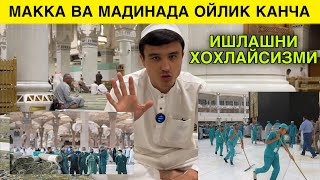 МАККА ВА МАДИНАДА ОЙЛИКЛАР КАНЧА ИШЛАМОКЧИ БУЛГАНЛАР УЧУН ФОЙДАЛИ [upl. by Eimat900]