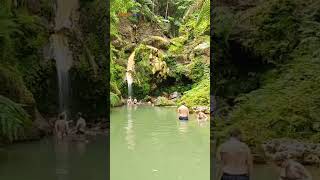 Natural Waterfall amp Pool of Caldeira Velha in Sao Miguel  CesarPedro  shorts [upl. by Daigle320]