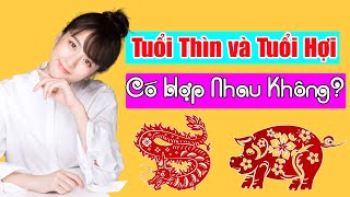 💓 Tuổi Thìn Và Tuổi Hợi Có Hợp Nhau Không Bản mới nhất Tử Vi 365 [upl. by Tteraj]