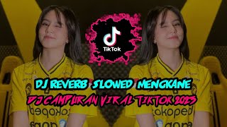 DJ REVERB SLOWED MENGKANE ❗ DJ VIRAL TIKTOK TERBARU 2023🎧 [upl. by Nylloh741]