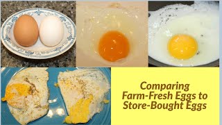 Farm fresh egg vs store bought egg [upl. by Anaz]