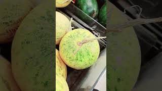 CANTALOUPE FRUIT SWEET AND CRISPY shorts shortvideo satisfying trending fruit ytshorts [upl. by Darin]