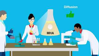 Modifying MuellerHinton Agar to Test Colistin Resistance through Disk Diffusion Test Ann Lab Med [upl. by Mikah]