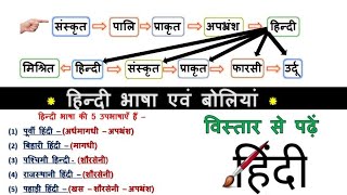 48हिंदी भाषा की बोलियाँ Hindi bhasa evm Boliya उपभाषाएं Study91 Nitin Sir [upl. by Siuraj364]