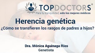 ¿Cómo funciona la transmisión de rasgos de los padres a los hijos [upl. by Lorie]