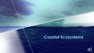 IGCSE Geo coastal ecosystems [upl. by Evadnee]