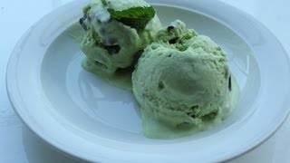 Homemade Vegan MintChocolate Chip Ice Cream Demonstration [upl. by Tiersten687]