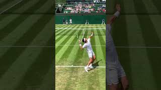 Raonic with a KILLER serve at Wimbledon [upl. by Eddana]