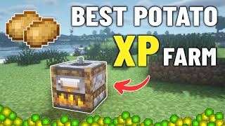 Easy Potato XP Farm in Minecraft 121 Java and Bedrock [upl. by Dyke558]