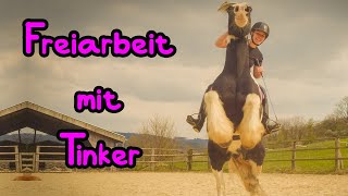 Freiarbeit mit Tinker Mitch 🦄 Was ein Spaß [upl. by Ahsias]