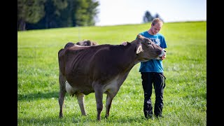 Milkana  Grünlandfütterung und unsere Bauern [upl. by Niamreg]