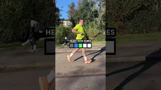 Heart Rate Zones In Real Time runningadvice [upl. by Retsevel]