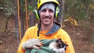 Southern Oregon Arborist  Tree Work Rigging Zipline Speed line Technique [upl. by Fara]