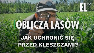 Jak uchronić się przed kleszczami  Oblicza lasów 25 [upl. by Carmena570]