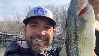 Lake of the Ozarks Fishing Report February 2024 They’re biting [upl. by Thar318]