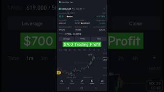 700 Profit in Crypto Trading  BNB Coin Pump Profit 🚀🚀🚀 cryptotrading [upl. by Ellehcim]