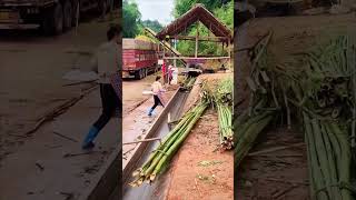 Bamboo chipper [upl. by Magocsi]