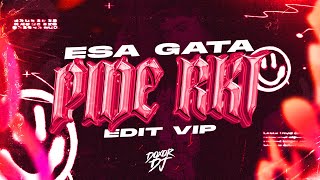 ESA GATA PIDE RKT TOTONA EDIT VIP  Doxor DJ [upl. by Morehouse]