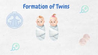 Formation of Twins ll Biology ll [upl. by Rafferty301]