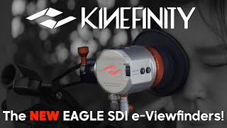 Introducing Kinefinitys NEW EAGLE SDI eViewfinders [upl. by Lusar371]