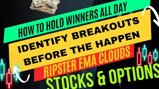 Ripsters Strategies for Consistent Wins Market Breakout and Nvidia Mega Winner [upl. by Albertine]