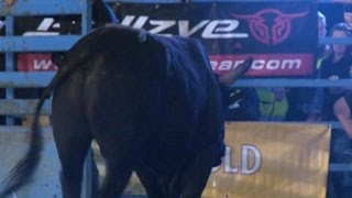 INVERELL PBR HIGHLIGHTS 2016 [upl. by Gona]