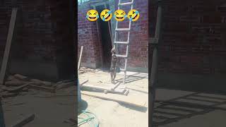 bechara kutta chad nahi pa raha hai🤣😂 comedy comedyvideos shortsfeed funny funnyreelrealfools [upl. by Nosinned]