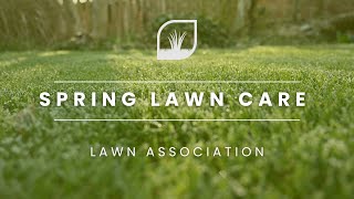 SPRING LAWN CARE  SCARIFICATION EXPERIMENT  MAN VS NATURE  Lawn Association [upl. by Clevie981]