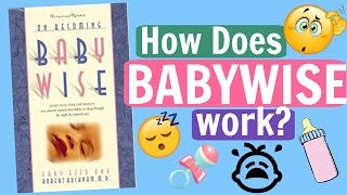 How Does Babywise Work [upl. by Barthelemy]