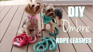 DIY Dog Leashes  Dyed Using Ombre Method [upl. by Terb383]