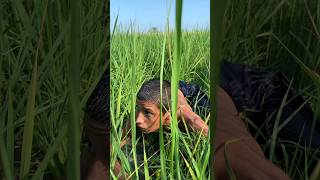 Allah ne jan bacha li india islamicvideo vairalvideo shorts emotional usa foryou [upl. by Frendel]