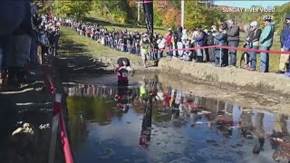 North American Wife Carrying Championship held at Sunday River [upl. by Trilbi]