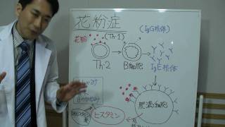 「花粉症」【吉田たかよし】９０秒でわかる 医学解説その36 [upl. by Beaulieu807]