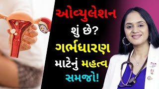 ઓવ્યુલેશન શું છે  What is Ovulation [upl. by Nylissej]