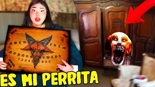 MI PERRA ME HABLA EN LA MADRUGADA SKINWALKER SABE HABLAR 😱 🐶 NUNCA LE PREGUNTES ANIMALES terror [upl. by Haidej]