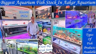 Biggest Aqurium Fish Store In Mumbai🐠Aakar Aquarium Full Store WalkthroughBest Quality Fishes 😍 [upl. by Bergmans442]