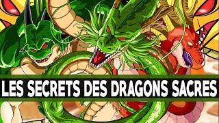 LES SECRETS DES DRAGONS SACRÉS [upl. by Ciapha259]