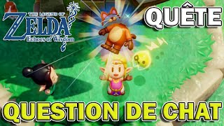 Obtenir la TENUE DE CHAT  Quête  Questions de chats 😺  Zelda  Echoes of Wisdom [upl. by Anoyk22]