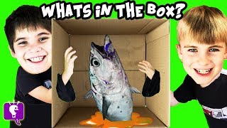 WHATS IN THE BOX Challenge with HobbyKids [upl. by Vez]