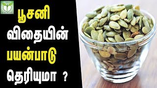 pumpkin seeds health benefits  Tamil Health Tips [upl. by Kirrad]