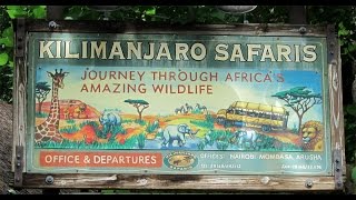 Animal Kingdom  Kilimanjaro Safari [upl. by Tabber817]