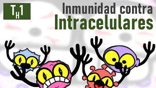 Inmunidad contra Virus Bacterias y Hongos Intracelulares  TH1 [upl. by Oicnedif]