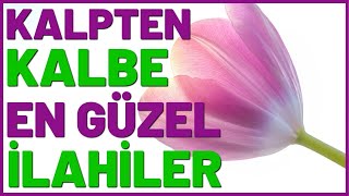 🌺🌺 KALTEN KALBE HARİKA İLAHİLER 🌺🌺 EN GÜZEL İLAHİLER 🌺🌺 [upl. by Asselam]