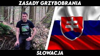 Zasady Grzybobrania  Słowacja 🇸🇰 [upl. by Nigem]