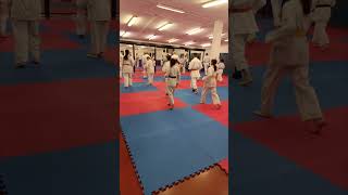 Karaté entraînement shorts karate sport pourtoi [upl. by Yor]