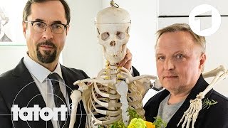 Trailer quotFeierstundequot  Der neue Tatort aus Münster  Tatort [upl. by Llerrom]