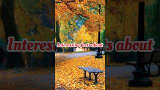 Interesting facts about Autumn seasonFacts about Babies in Autumn shorts facts interestingfacts [upl. by Valerian]